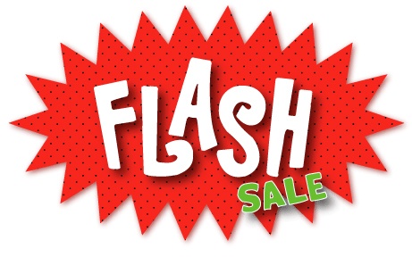 flash sales in ecommerce