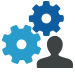 Independent Software Vendors