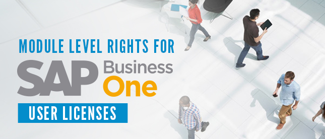 Module-Level-rights-for-SAP-Business-One-User-Licenses