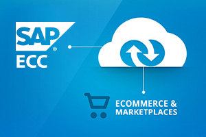 Sap Ecc 6.0 Release Date