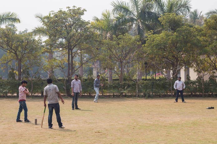 Insync-Picnic-cricket-match