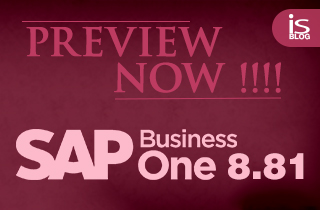 SAP Business One 8.81