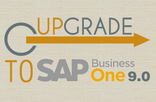 Upgrade to SAP Business One 9.0