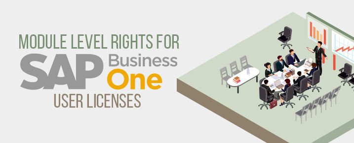 Sap Business One License Comparison Chart