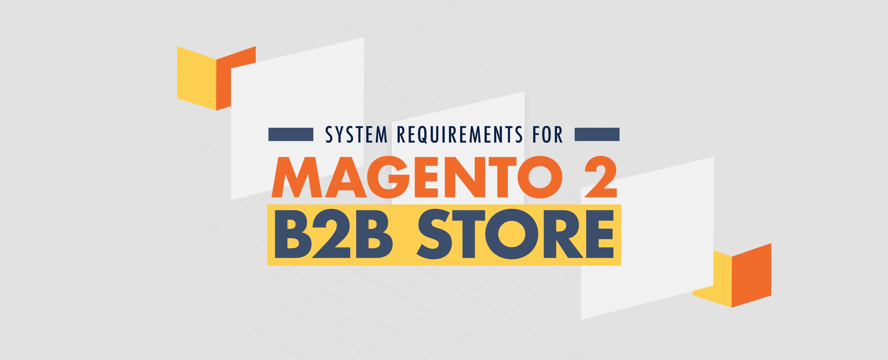 System Requirements for Magento 2 B2B Store InSync