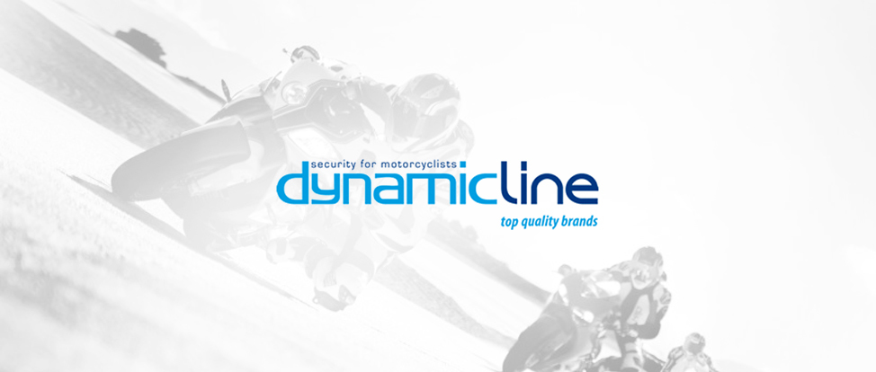 dynamicline-sl-insync-casestudy-section dynamicline-sl-insync-case study