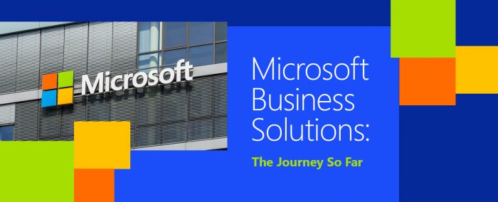 Microsoft Business Solutions: The Journey So Far
